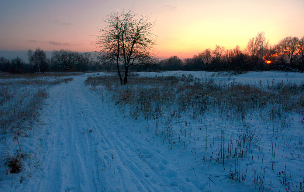 Фотографія Одинока хода морозними сумерками / Олексій Стеценко / photographers.ua