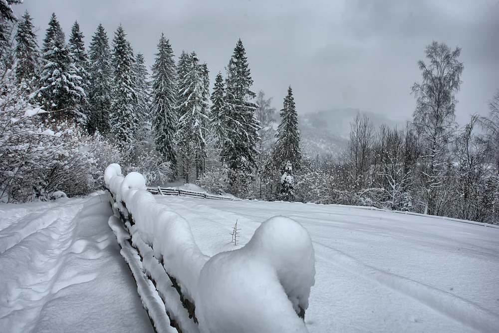 Фотографія Не дивлячись ні на що, такі зими в наших Карпатах будуть завжди! / Олексій Стеценко / photographers.ua