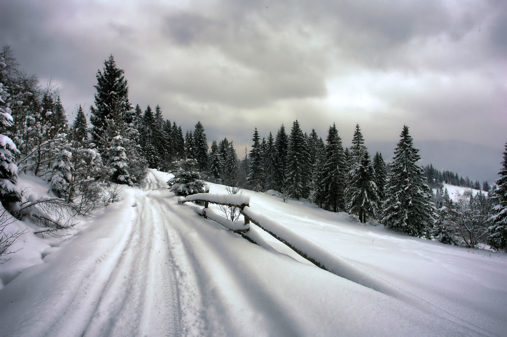 Фотографія А зима в цьому році вже була, якщо хто забув / Олексій Стеценко / photographers.ua