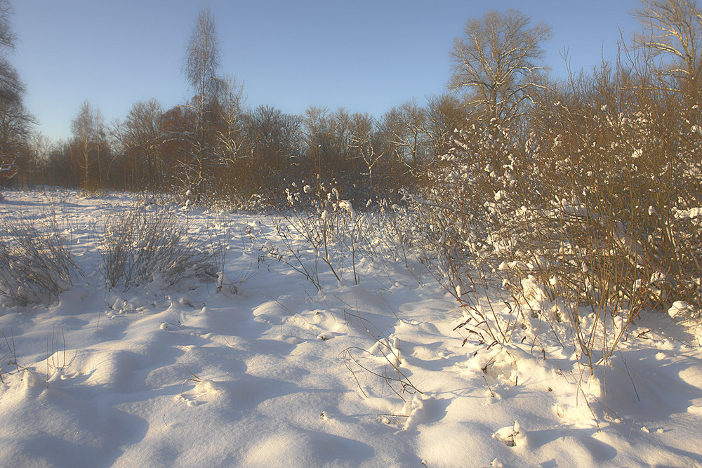 Фотографія Трохи зими, а може і не трохи / Олексій Стеценко / photographers.ua