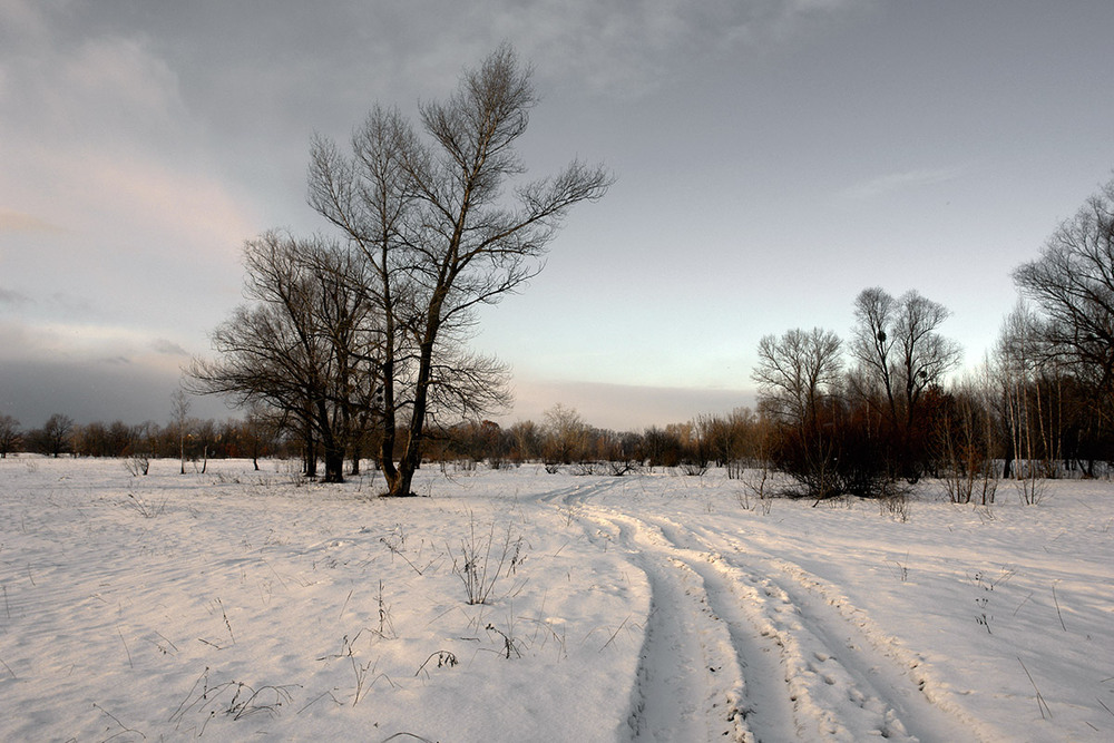 Фотографія На вечір, на мороз... / Олексій Стеценко / photographers.ua