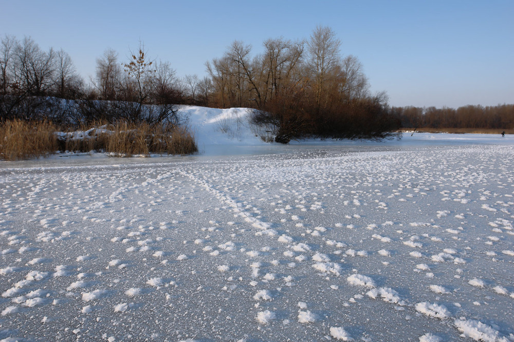 Фотографія Winter, Frost / Олексій Стеценко / photographers.ua
