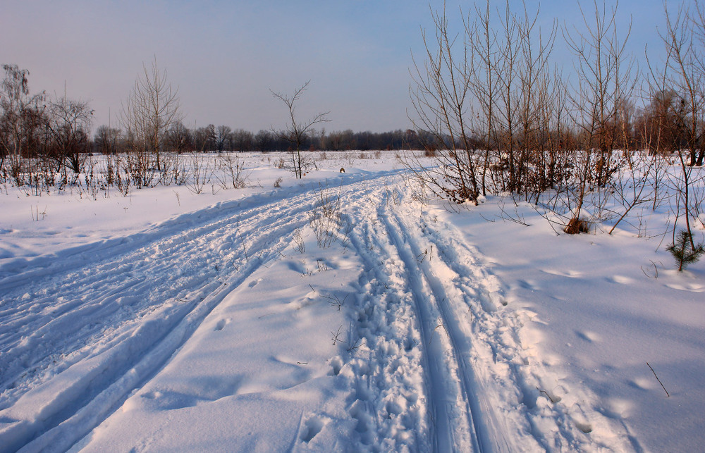 Фотографія Коли ще була зима / Олексій Стеценко / photographers.ua