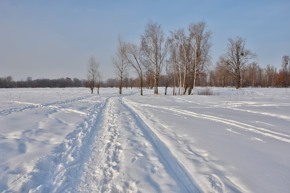 Фотографія Тихий зимовий день / Олексій Стеценко / photographers.ua