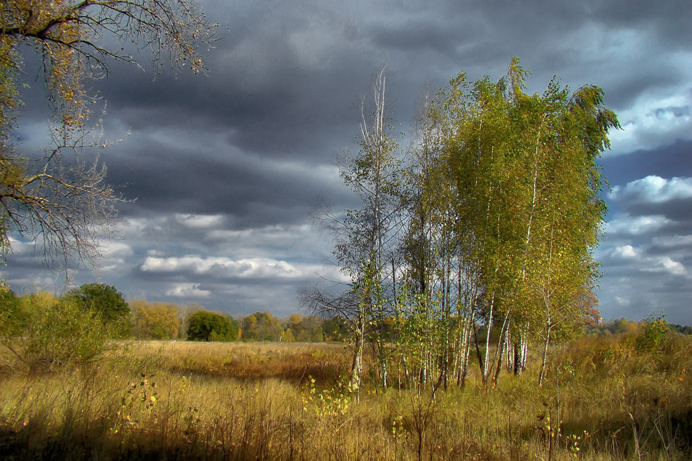 Фотографія Комфортний день середини осені. / Олексій Стеценко / photographers.ua