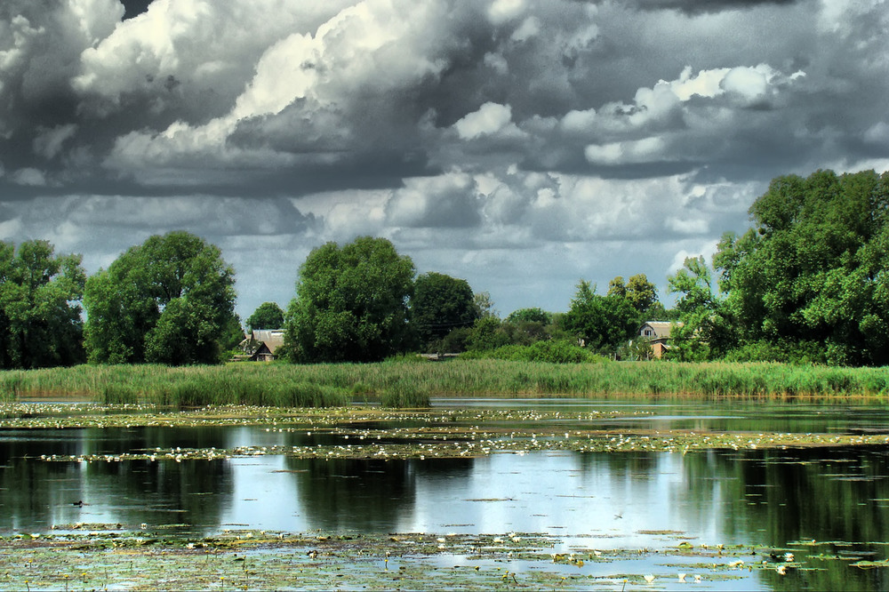 Фотографія Сільська замальовка / Олексій Стеценко / photographers.ua