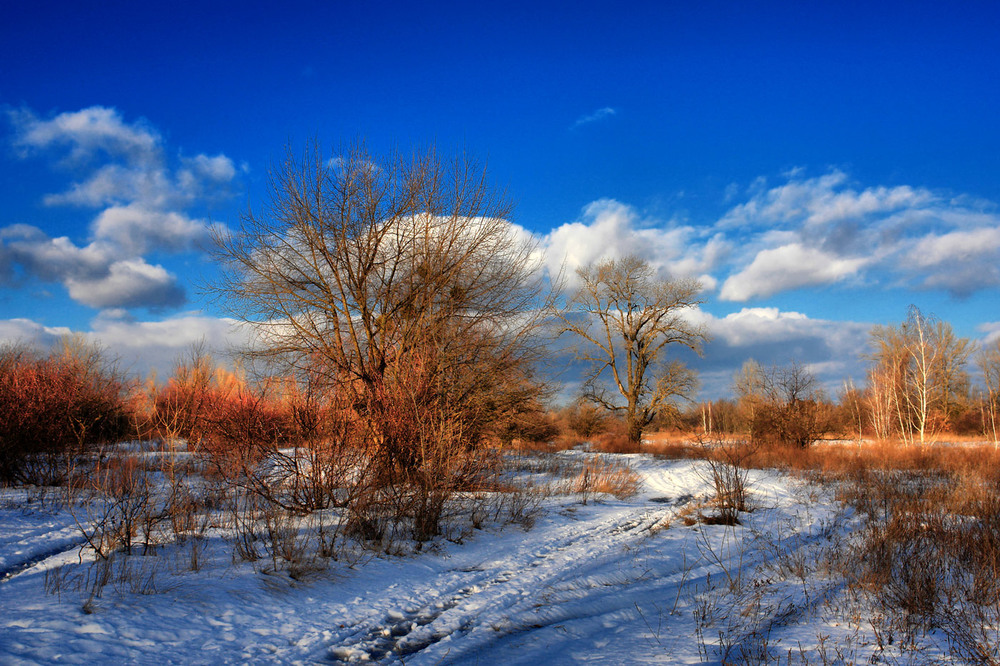 Фотографія Пейзаж / Олексій Стеценко / photographers.ua