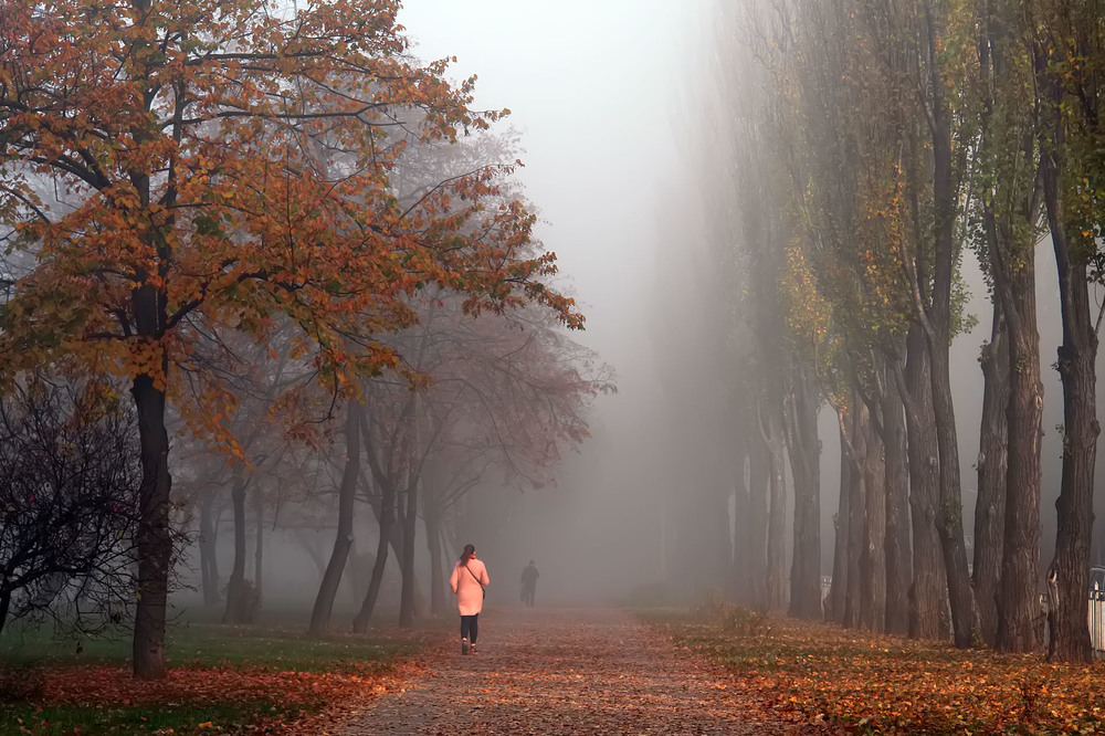 Фотографія Київські тумани / Олексій Стеценко / photographers.ua