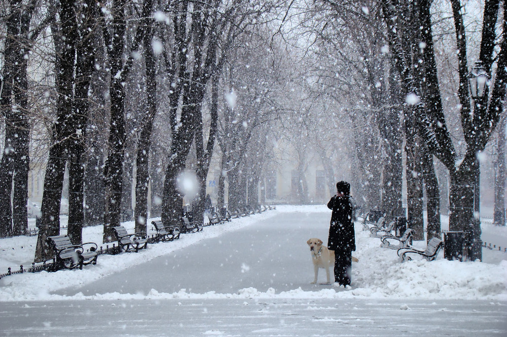 Фотографія Зимова замальовка з південної Пальміри / Олексій Стеценко / photographers.ua