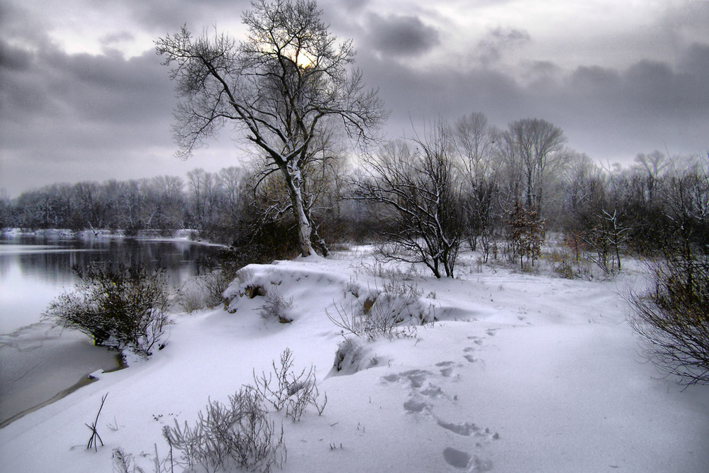 Фотографія Зима / Олексій Стеценко / photographers.ua