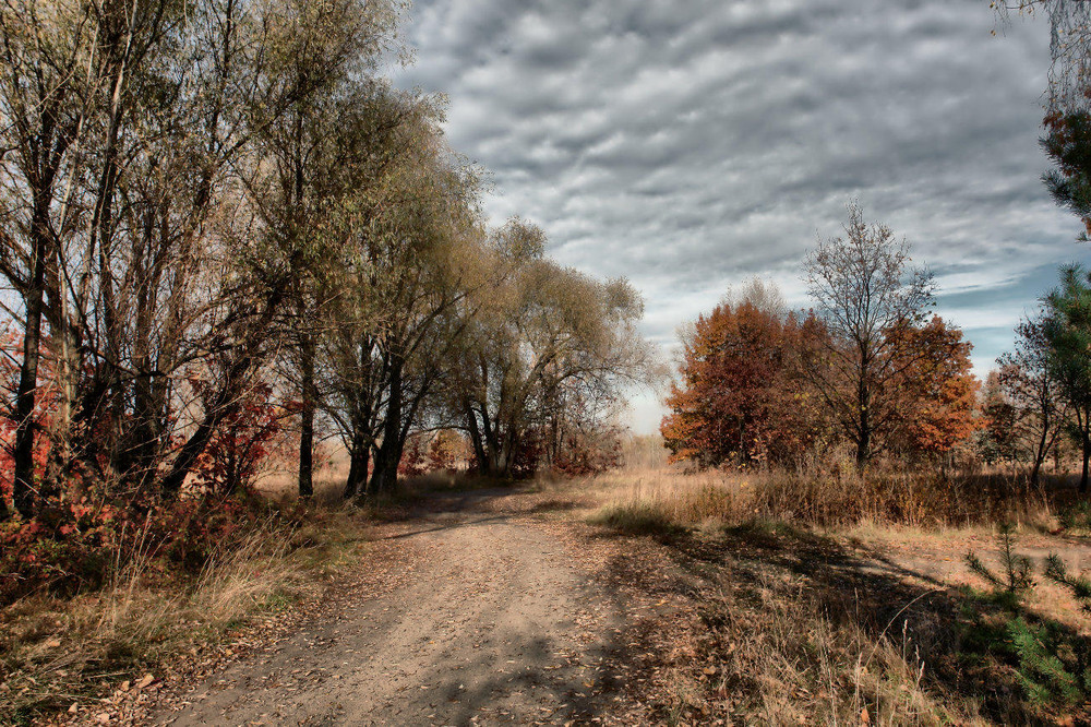 Фотографія Приглушена осінь / Олексій Стеценко / photographers.ua