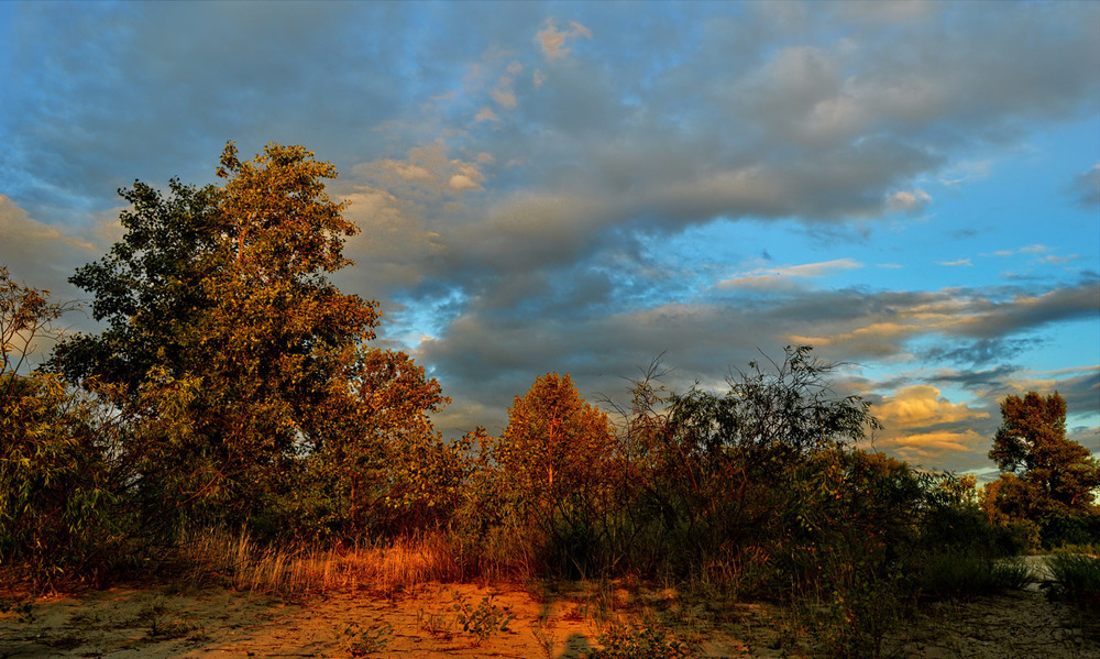 Фотографія Sunset color / Олексій Стеценко / photographers.ua