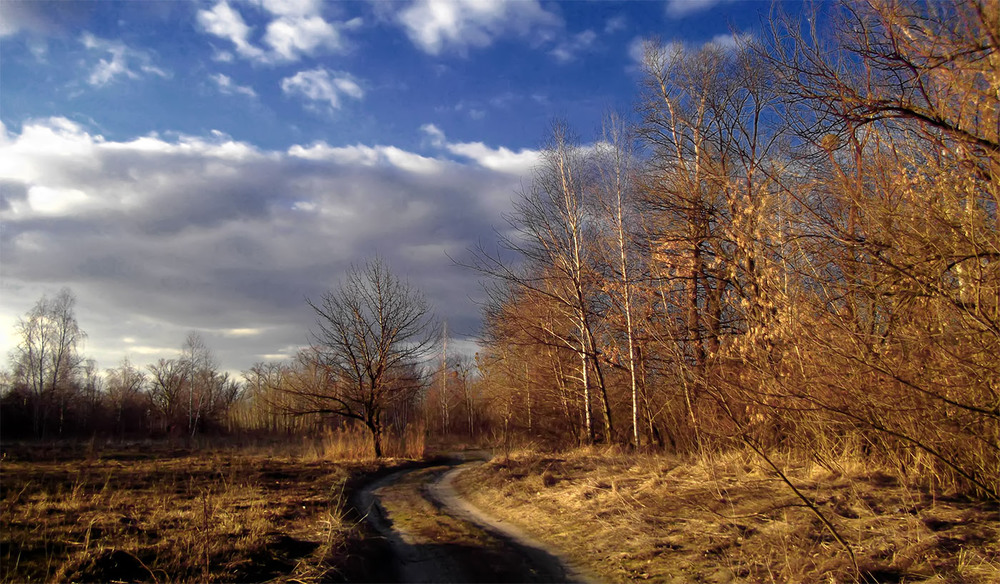 Фотографія Пейзаж / Олексій Стеценко / photographers.ua