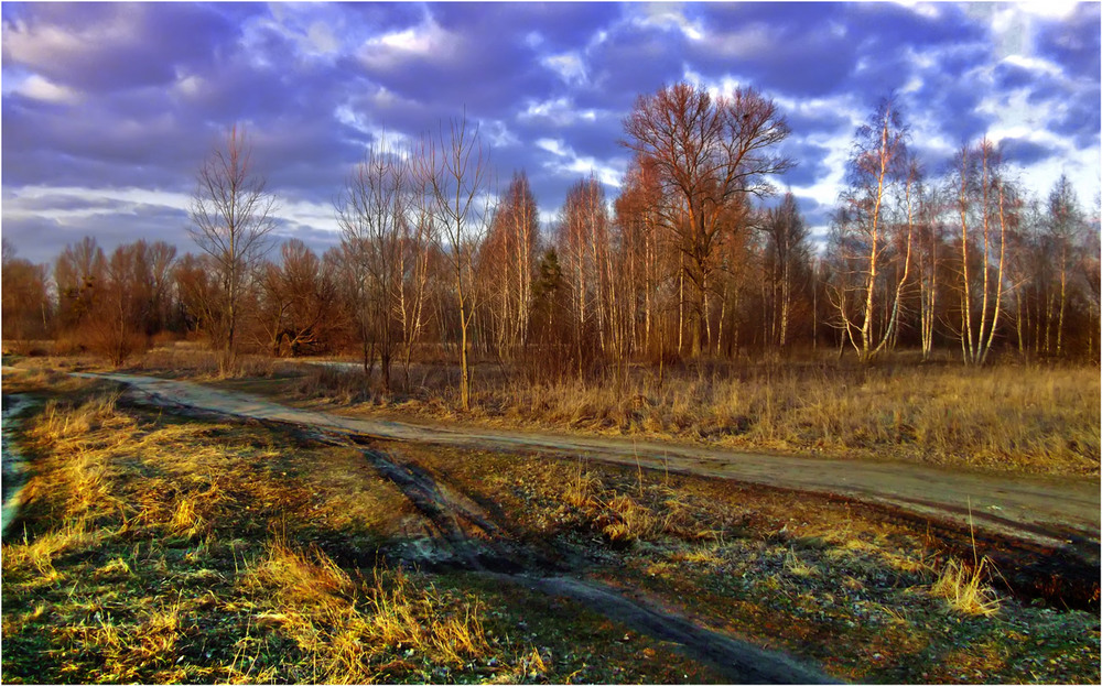 Фотографія Березень у природному парку / Олексій Стеценко / photographers.ua
