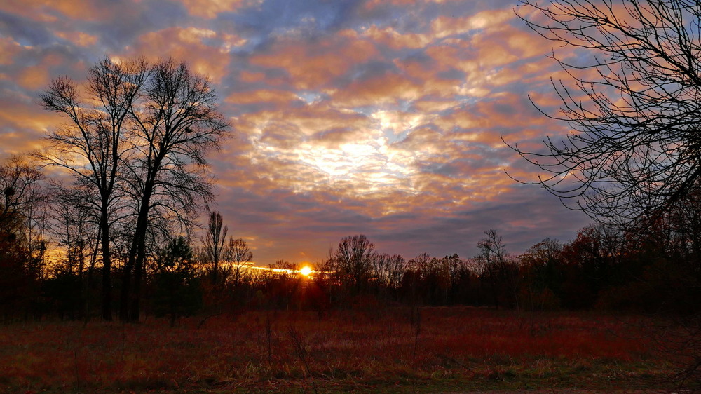 Фотографія Вже осінь під кінець. Дощова якась / Олексій Стеценко / photographers.ua