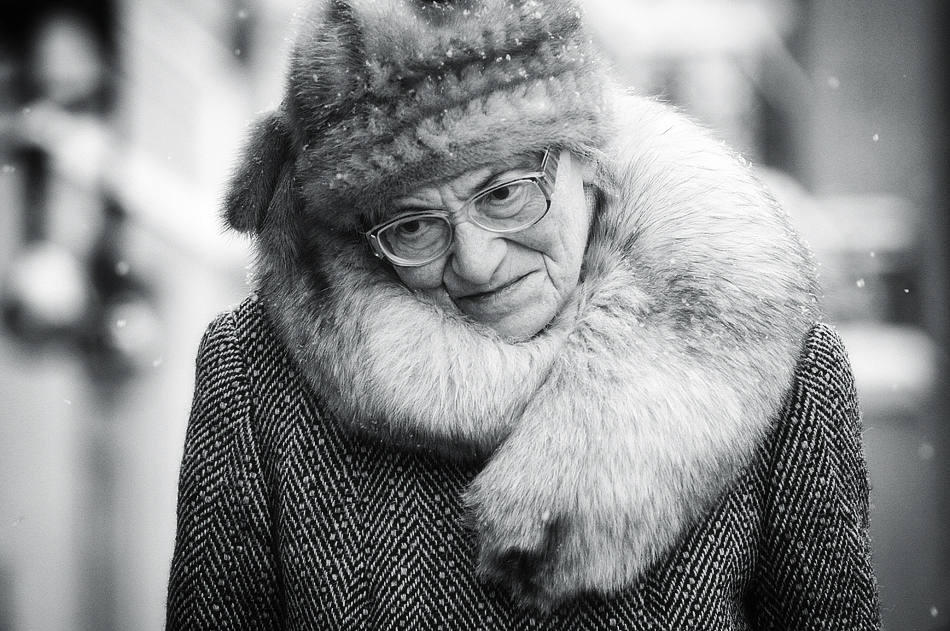 Фотографія Зима жизни / Leonardo / photographers.ua