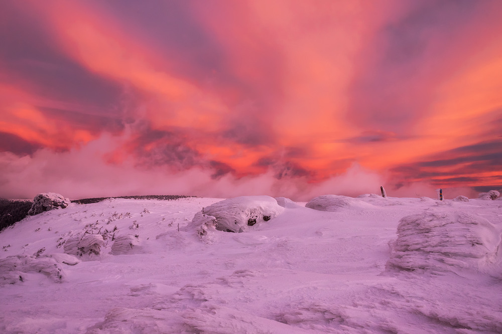 Фотографія Пейзаж / Михайло Пецкович / photographers.ua