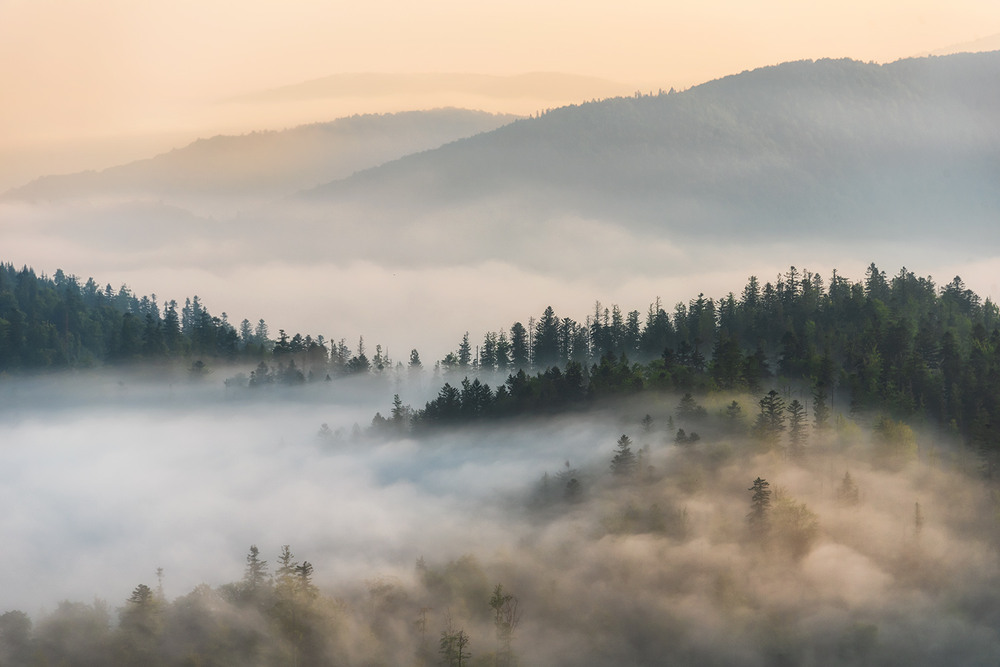 Фотографія Пейзаж / Михайло Пецкович / photographers.ua