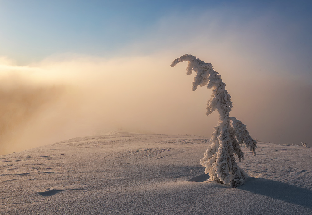 Фотографія Пейзаж / Михайло Пецкович / photographers.ua