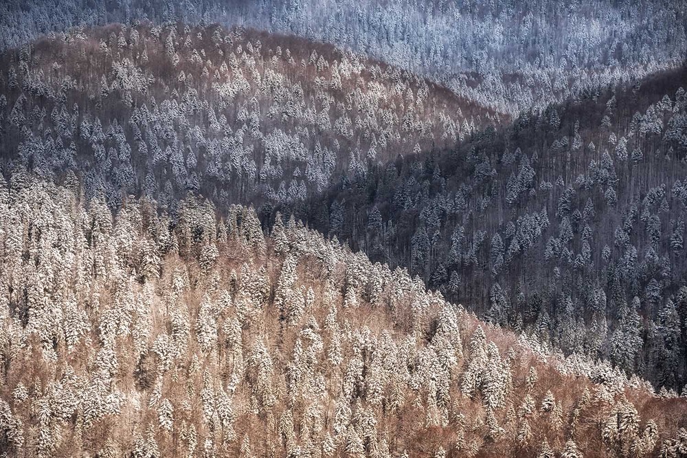 Фотографія Пейзаж / Михайло Пецкович / photographers.ua