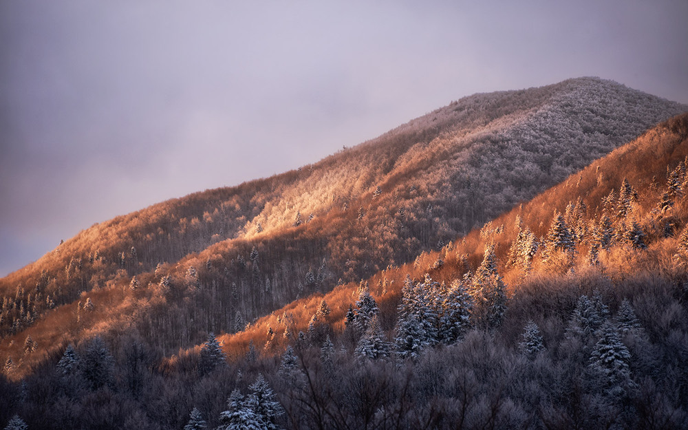Фотографія Пейзаж / Михайло Пецкович / photographers.ua