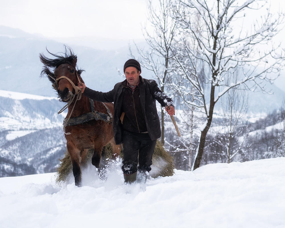 Фотографія Жанр / Михайло Пецкович / photographers.ua
