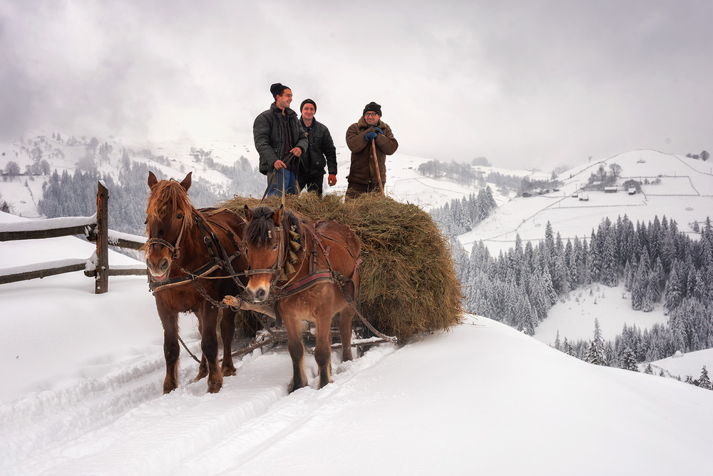 Фотографія Жанр / Михайло Пецкович / photographers.ua