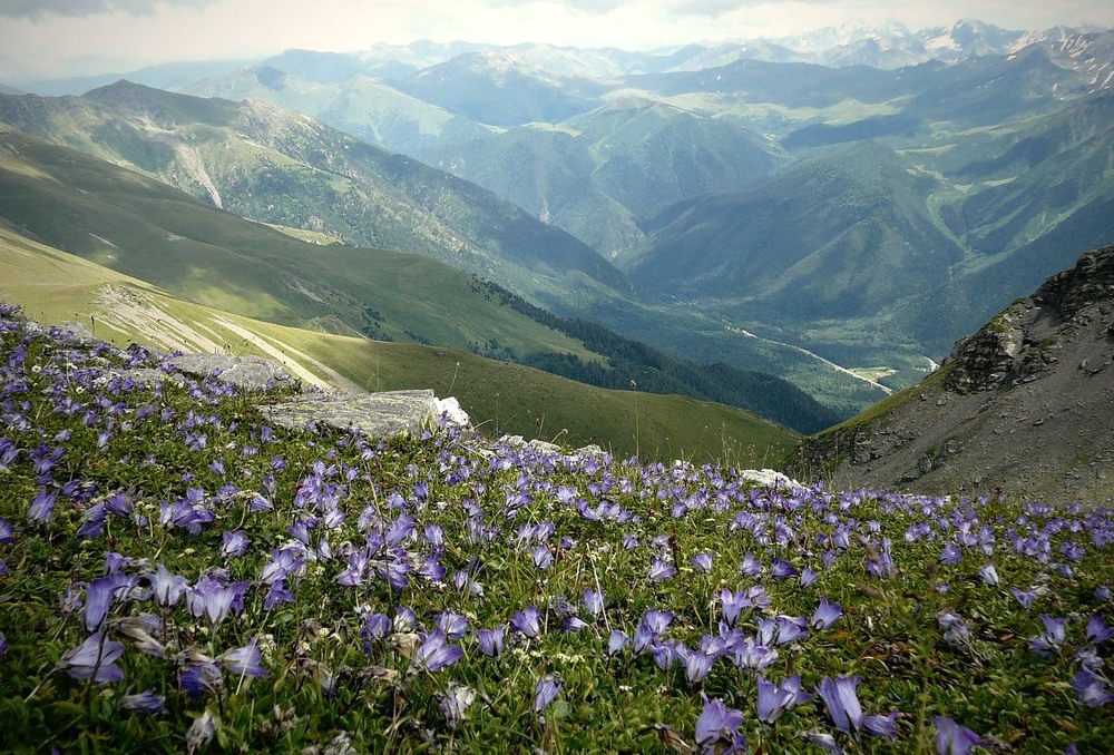 Фотографія Пейзаж / Чуб Елена / photographers.ua