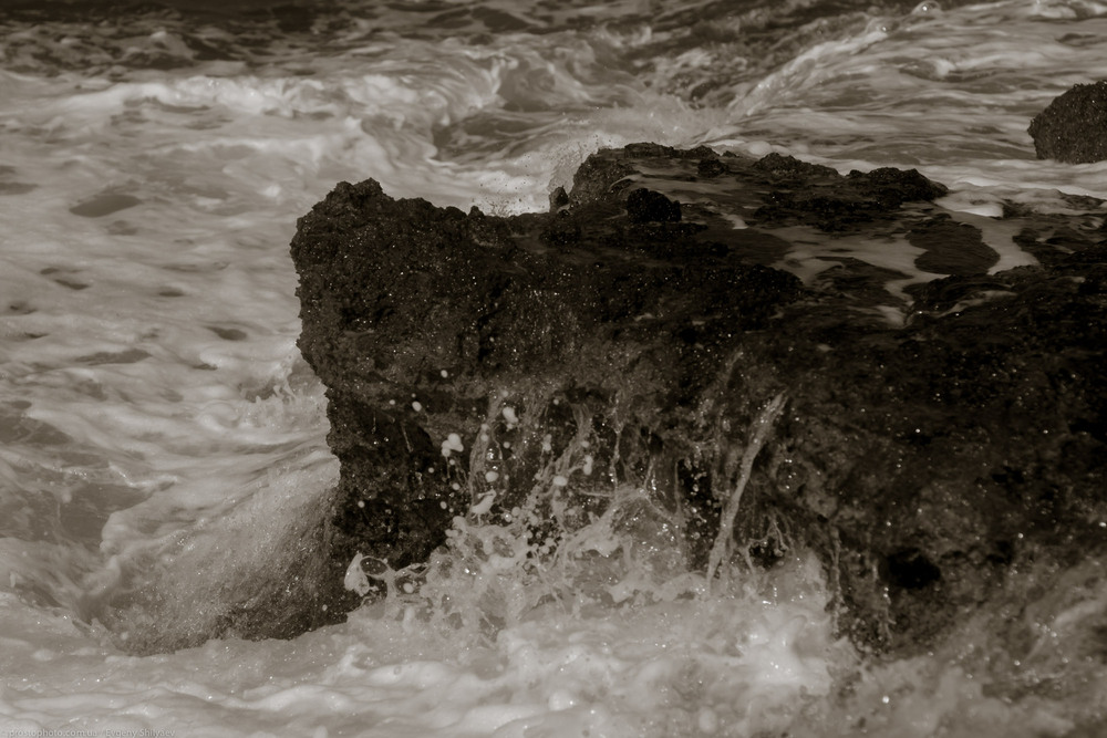 Фотографія #5 / Евгений Шиляев / photographers.ua