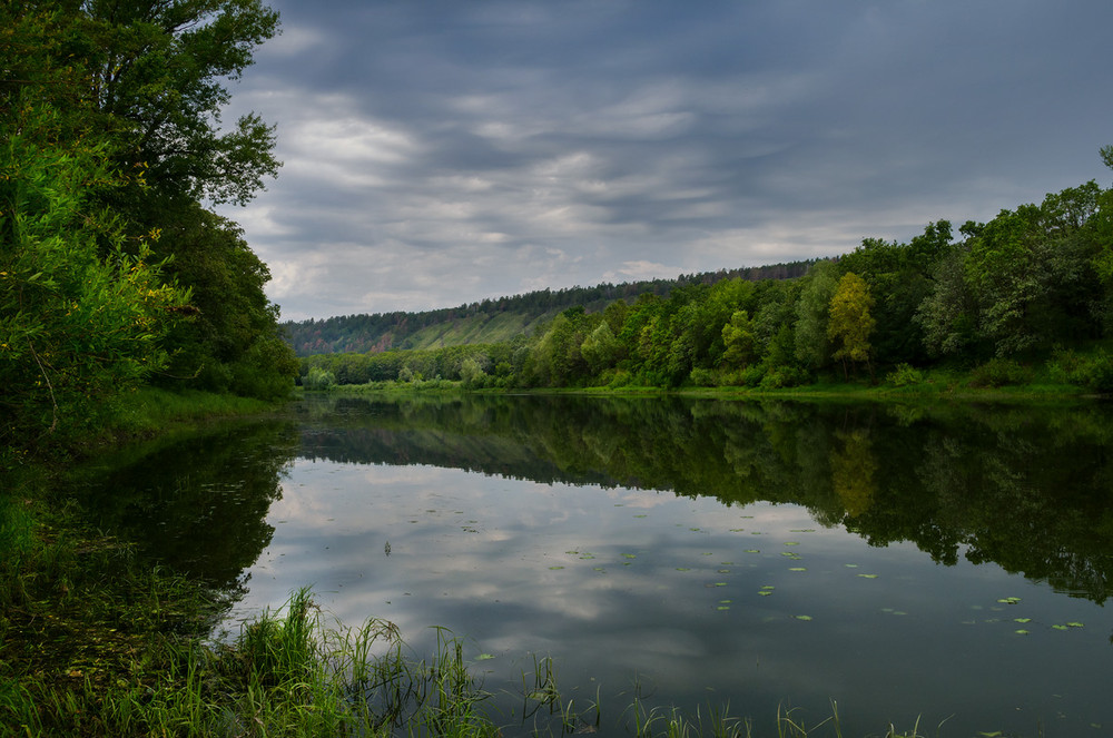 Фотографія Пасмурный пейзаж / Игорь Серов / photographers.ua