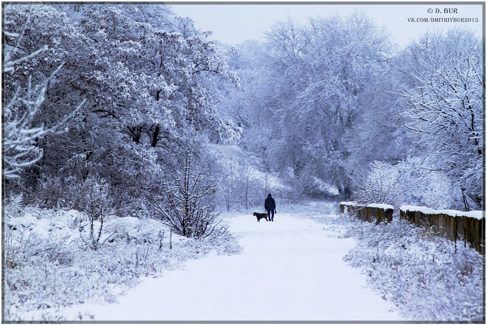 Фотографія В поисках лета / Дмитрий Бур / photographers.ua