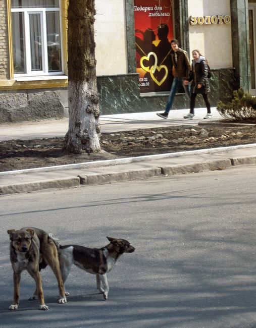 Фотографія Реферат на тему / Andrii Parakhin / photographers.ua