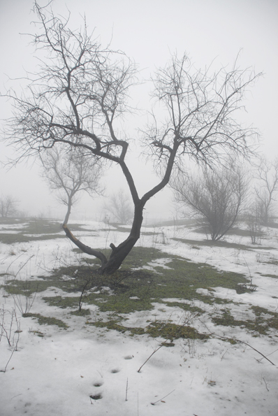 Фотографія Гидра в тумане / Andrii Parakhin / photographers.ua