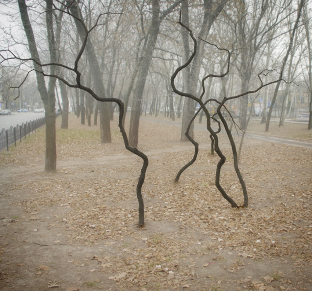 Фотографія Танец / Andrii Parakhin / photographers.ua