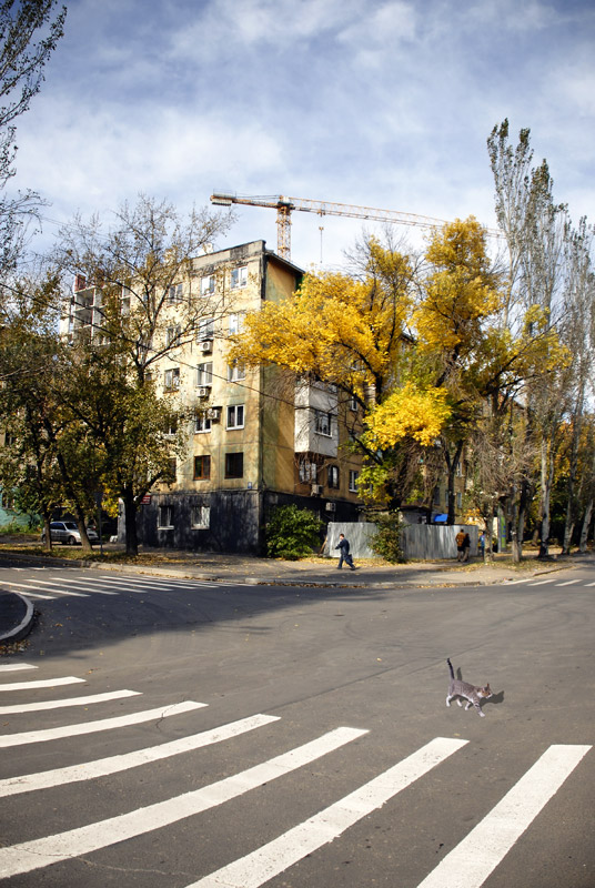 Фотографія Осень переходного периода / Andrii Parakhin / photographers.ua