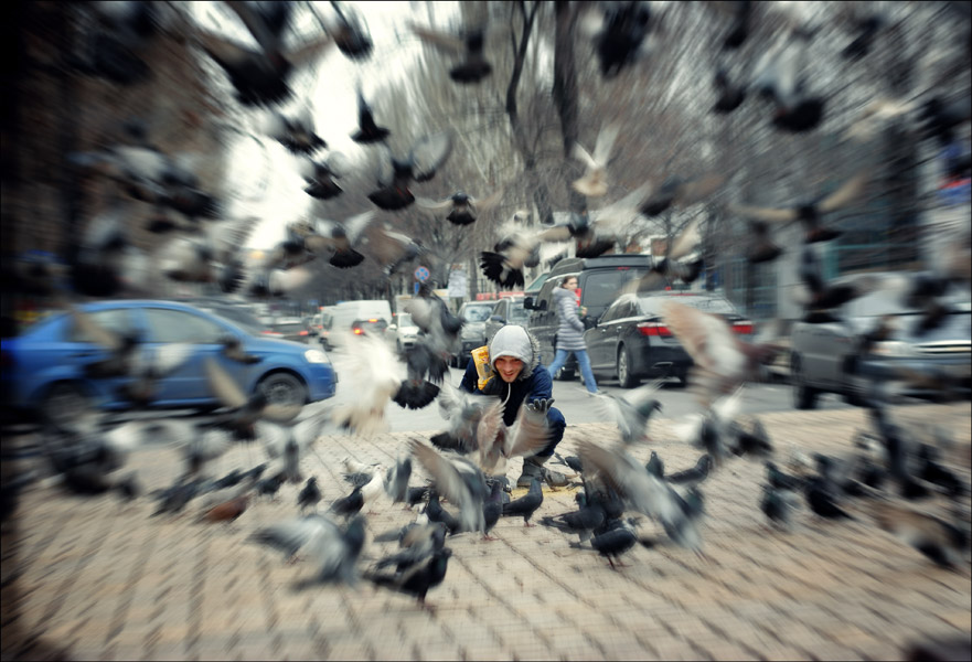 Фотографія Чувак, кормящий голубей / Andrii Parakhin / photographers.ua