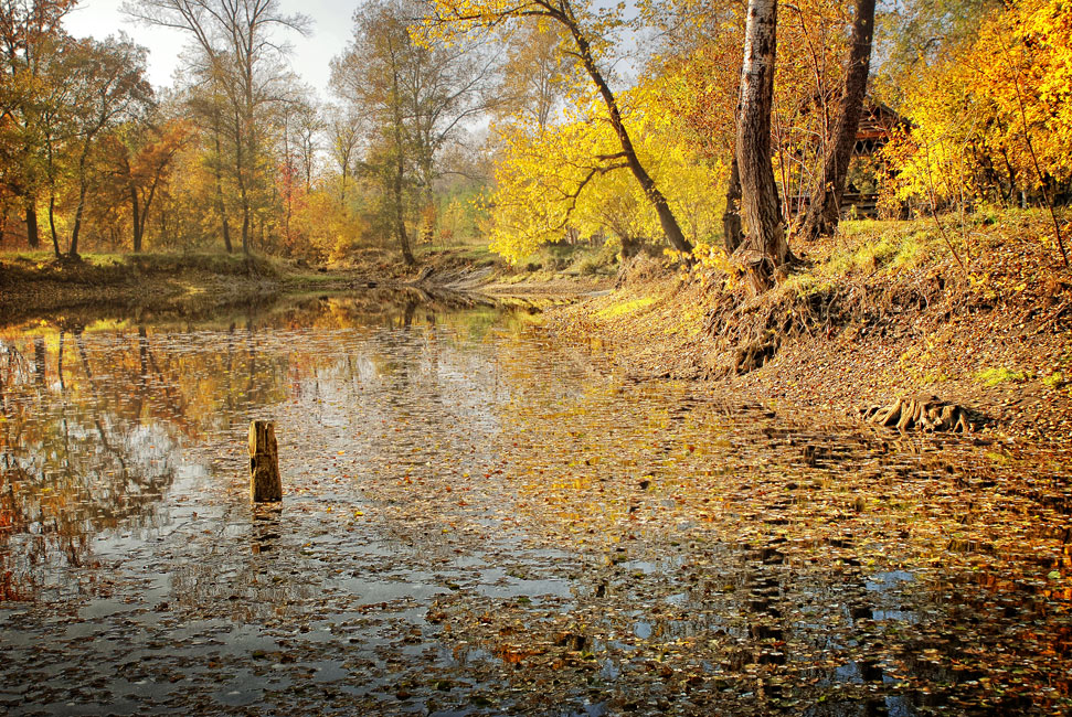 Фотографія ***** / Andrii Parakhin / photographers.ua