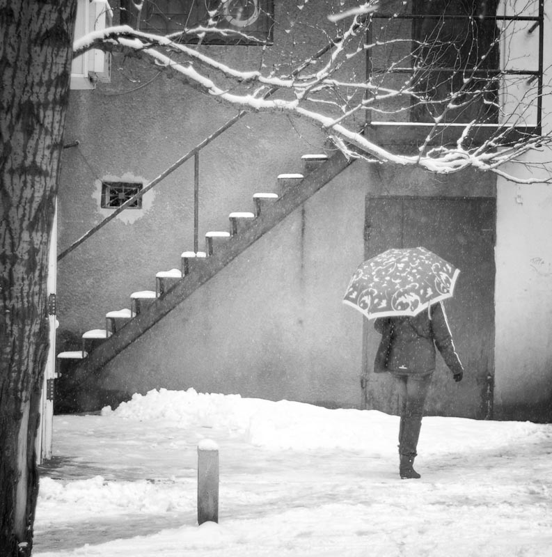 Фотографія День последнего снега / Andrii Parakhin / photographers.ua