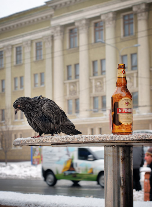 Фотографія Риторический вопрос / Andrii Parakhin / photographers.ua