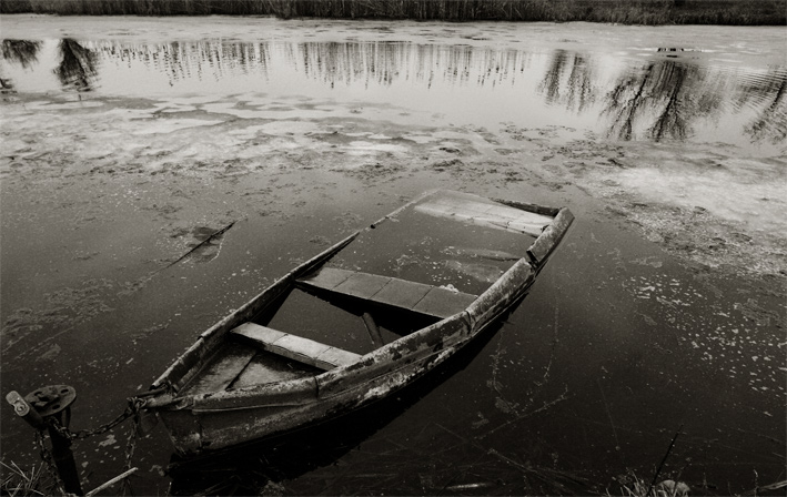 Фотографія Гуляя берегом реки 2 / Andrii Parakhin / photographers.ua