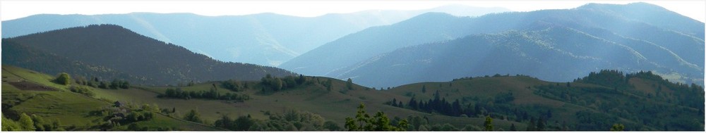 Фотографія ~~~ / Gann / photographers.ua