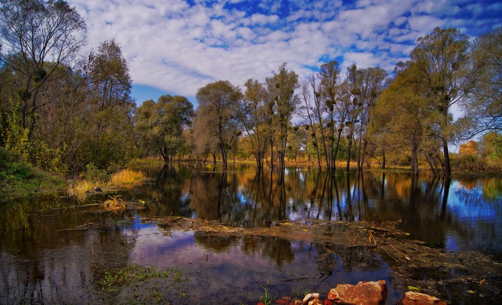 Фотографія Пейзаж / Vinni / photographers.ua