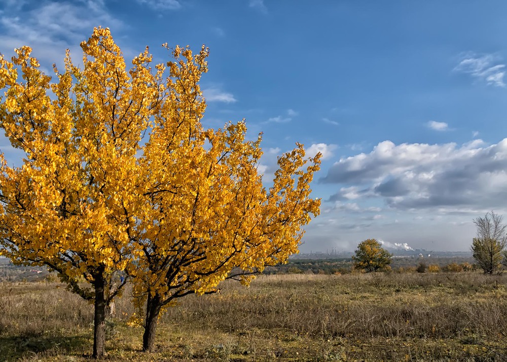 Фотографія Золотой сентябрь / Степанов Сергей / photographers.ua