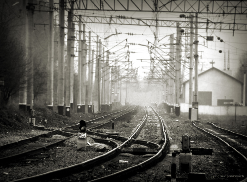Фотографія А поезда мимо нас проезджали... / v Pankevich / photographers.ua