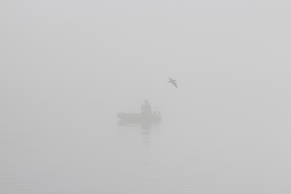 Фотографія Осенний туман / Артём Тульчинский / photographers.ua