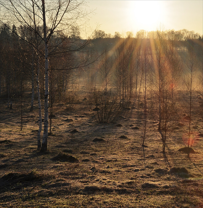Фотографія Раннее утро весны... / Александр Баев (BAEv72) / photographers.ua