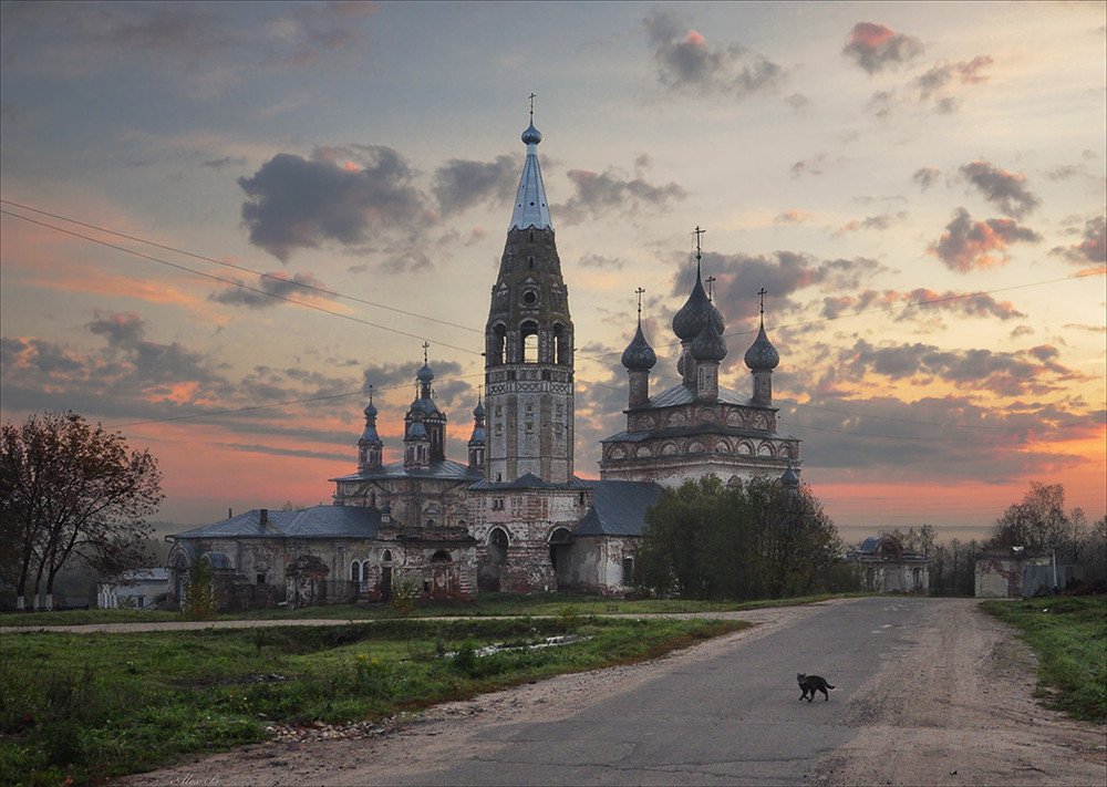 Фотографія Чёрная кошка / Александр Баев (BAEv72) / photographers.ua