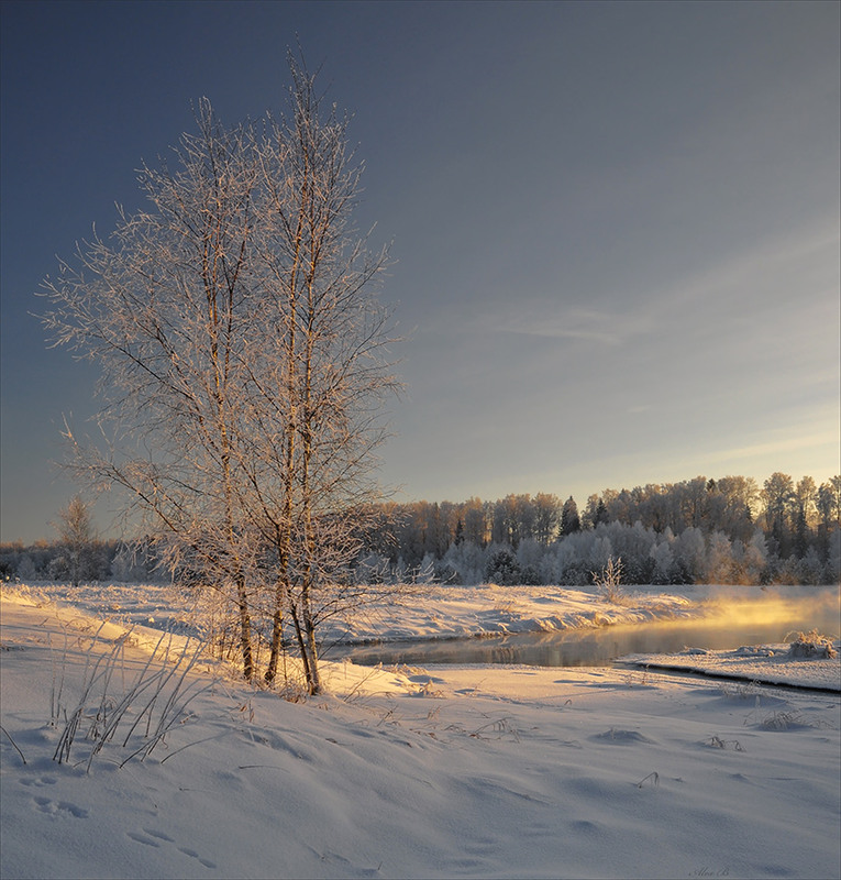Фотографія В лучах декабрьского мороза... / Александр Баев (BAEv72) / photographers.ua