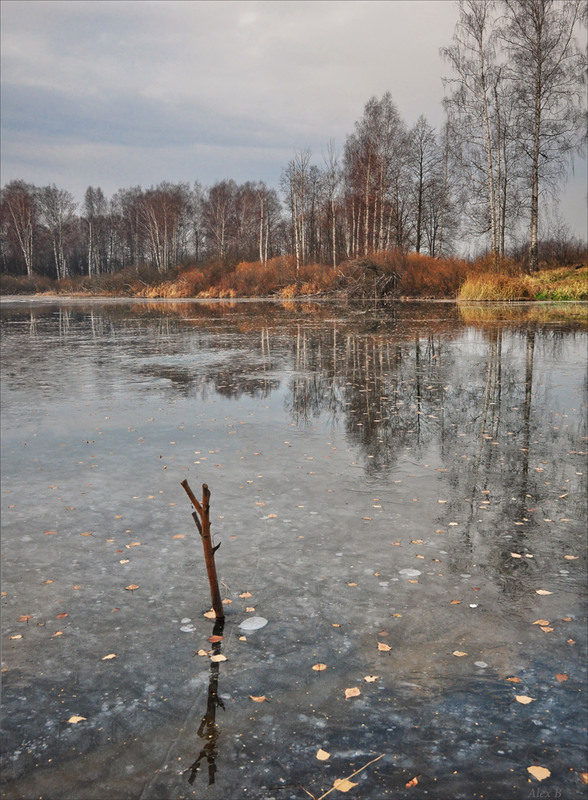 Фотографія Вот и первый лёд встаёт... / Александр Баев (BAEv72) / photographers.ua