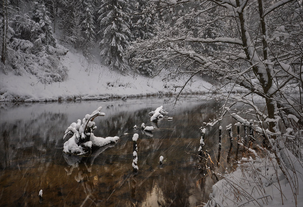 Фотографія Сегодня утром падал снег... / Александр Баев (BAEv72) / photographers.ua